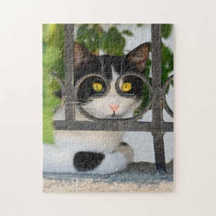 Puzzle Gato curioso con espectáculos Marco Funny Vistazo