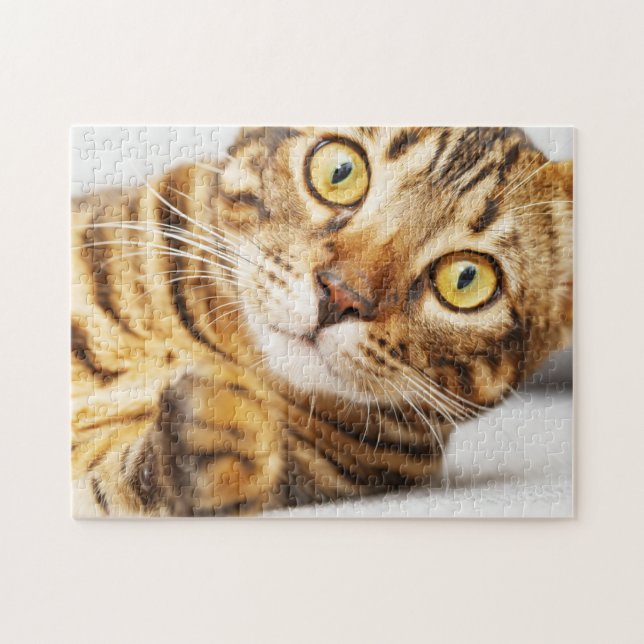 Puzzle Gato de Bengala Cute (Horizontal)