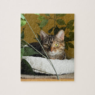 Puzzle Gato de bonito detrás de hojas en una plataforma, 