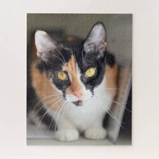 Puzzle Gato de Calico con ojos amarillos