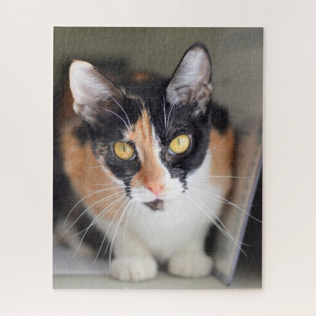 Puzzle Gato de Calico con ojos amarillos (Vertical)