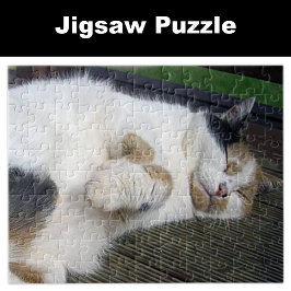 Puzzle Gato de Calico durmiendo afuera