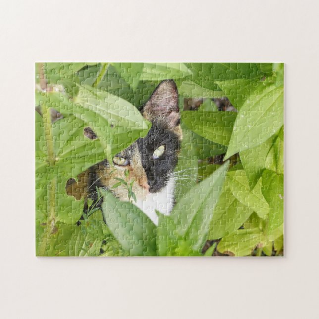 Puzzle Gato de Calico en las Zinnias (Horizontal)
