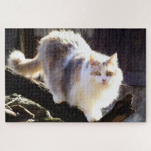 Puzzle Gato de calico mágico diluido