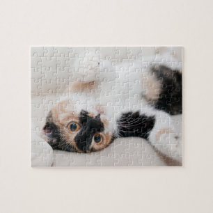 Puzzle Gato de calicó que pone en el suyo detrás con la
