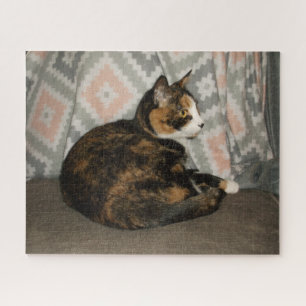 Puzzle Gato de Callie en Sofa