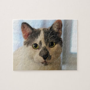 Puzzle Gato de corte