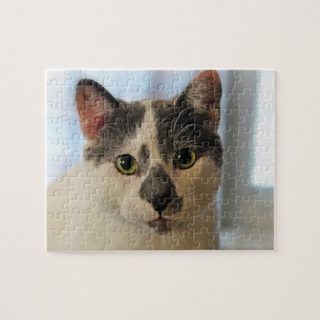 Puzzle Gato de corte (Horizontal)
