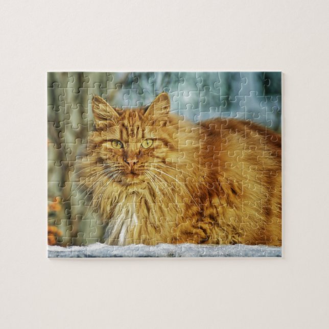 Puzzle Gato de hombres anaranjado de pelo largo mullido (Horizontal)