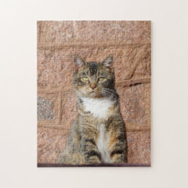 Puzzle Gato de iglesia
