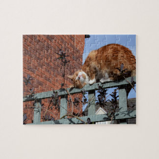 Puzzle Gato de jengibre juguetón