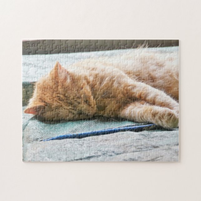 Puzzle Gato de jengibre longevo dormido (Horizontal)