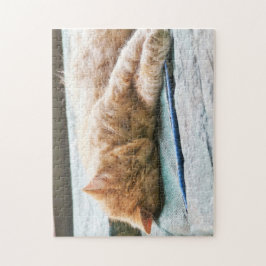 Puzzle Gato de jengibre longevo dormido