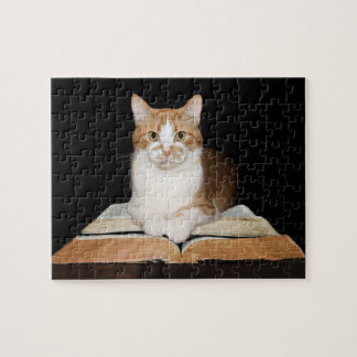 Puzzle Gato de Kitty Intelectual