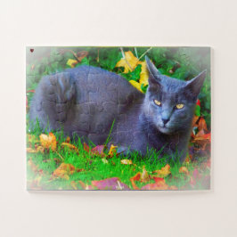 Puzzle Gato de Korat