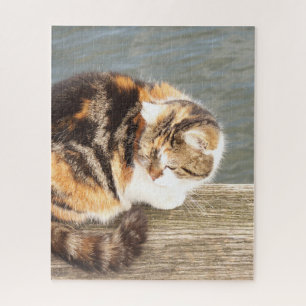 Puzzle gato de la suerte, multi-carril en una tabla en el