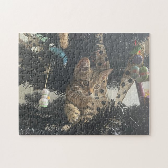 Puzzle Gato de Mascota animal de foto gatita (Horizontal)