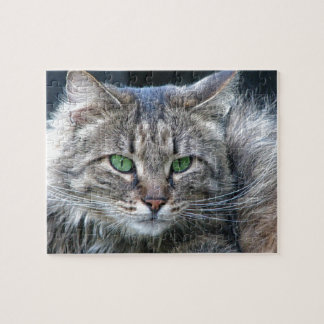 Puzzle Gato de ojos verdes mullido del gatito del tigre