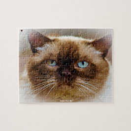 Puzzle Gato de pelo corto británico