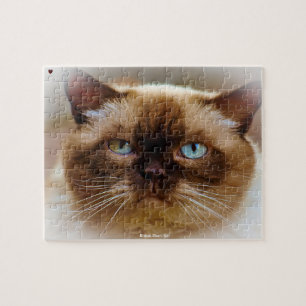 Puzzle Gato de pelo corto británico