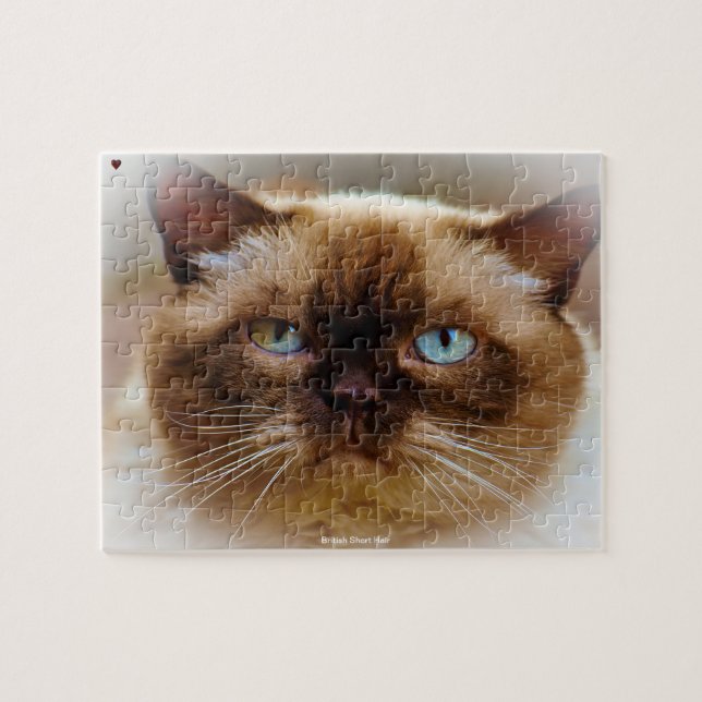 Puzzle Gato de pelo corto británico (Horizontal)