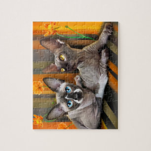 Puzzle Gato de Sphynx