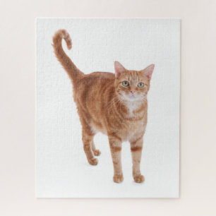 Puzzle Gato de Tabby anaranjado