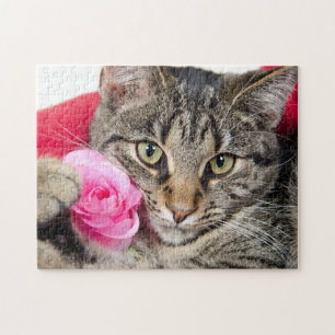 Puzzle Gato de Tabby lindo con el rosa