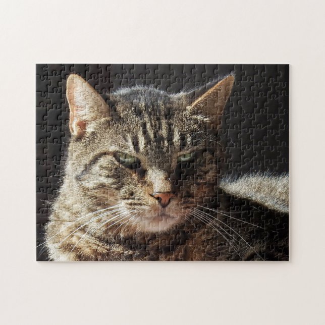 Puzzle Gato de Tabby malhumorado (Horizontal)