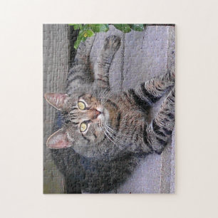 Puzzle Gato de Tabby Marrón al aire libre