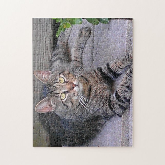 Puzzle Gato de Tabby Marrón al aire libre (Vertical)