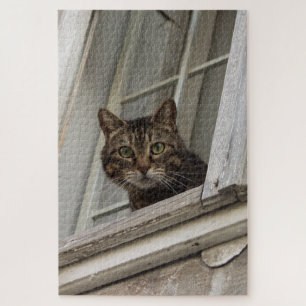 Puzzle Gato de Tabby mirando desde la ventana