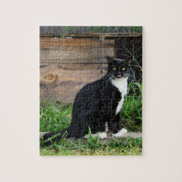 Puzzle Gato de Tuxedo