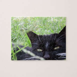 Puzzle Gato del smoking en hierba -