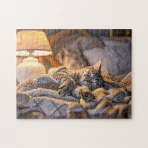 Puzzle Gato descansando en el sofá con manta y lámpara