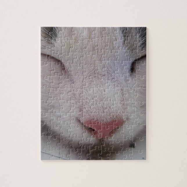 Puzzle Gato durmiente (Vertical)