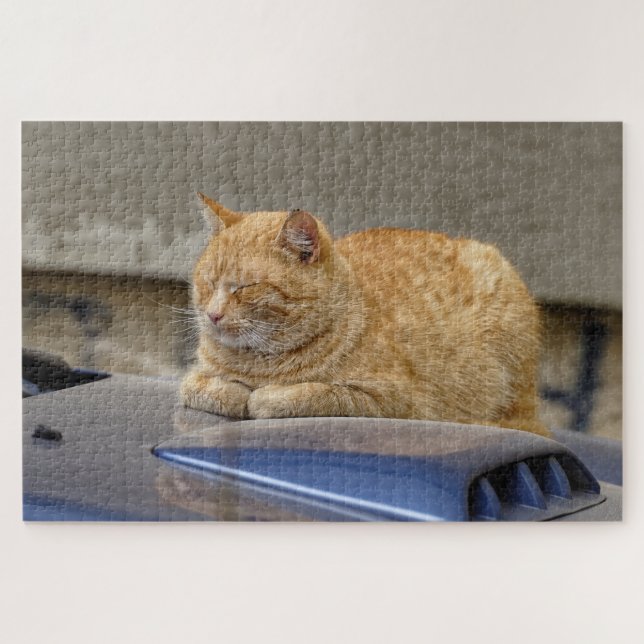 Puzzle Gato durmiente (Horizontal)