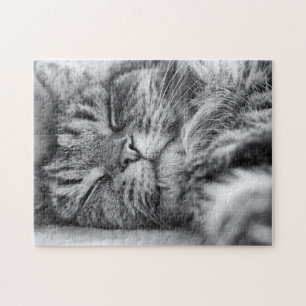 Puzzle Gato durmiente