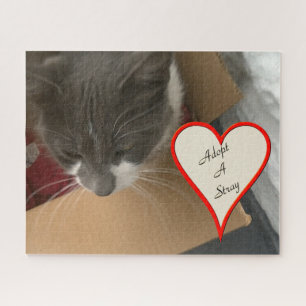 Puzzle Gato en la caja