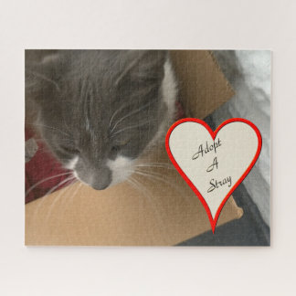 Puzzle Gato en la caja