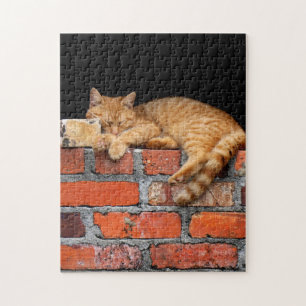 Puzzle Gato en la pared de ladrillo