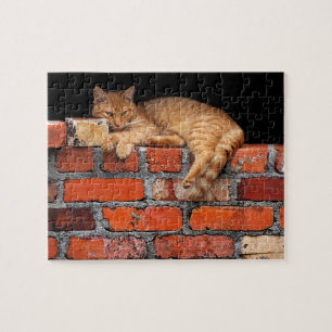 Puzzle Gato en la pared de ladrillo