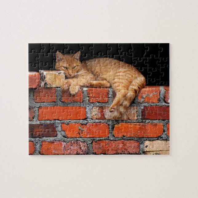 Puzzle Gato en la pared de ladrillo (Horizontal)