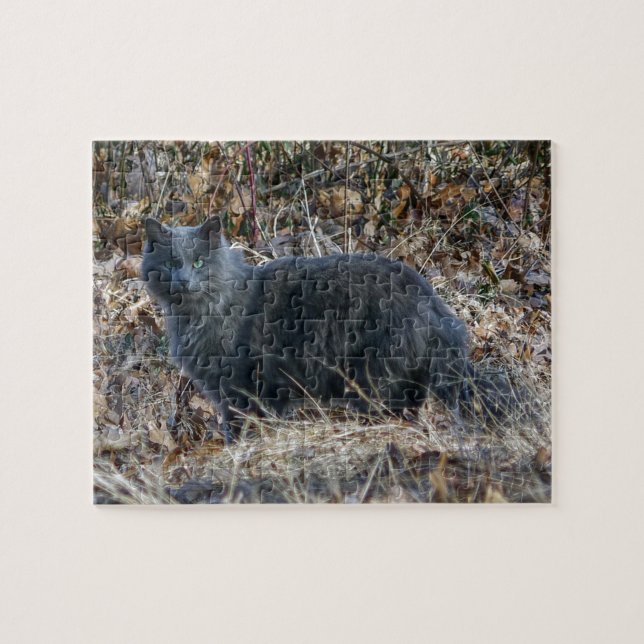 Puzzle Gato en los bosques (Horizontal)