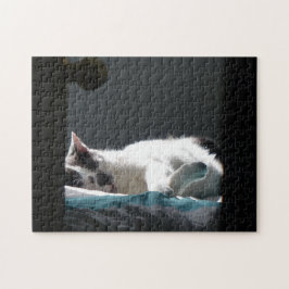 Puzzle Gato en Sunspot No molestar