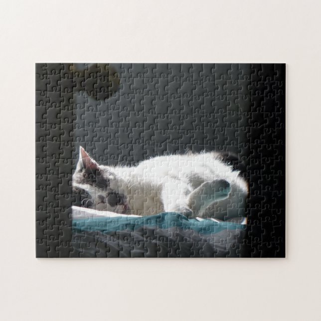 Puzzle Gato en Sunspot No molestar (Horizontal)