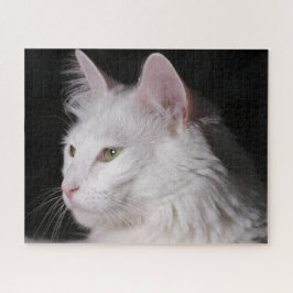 Puzzle Gato Fluffy White Maine Coon