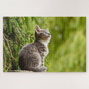 Puzzle Gato Gris Gris Gatito Pino Verde Árbol
