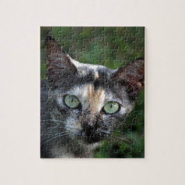 Puzzle Gato gris marrón blanco con ojos verdes