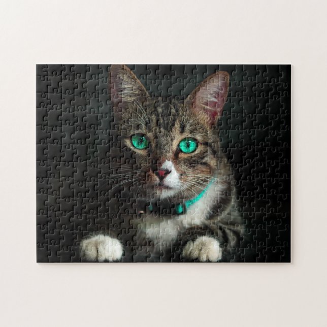 Puzzle Gato gris y blanco con ojos azules y cuello coinci (Horizontal)